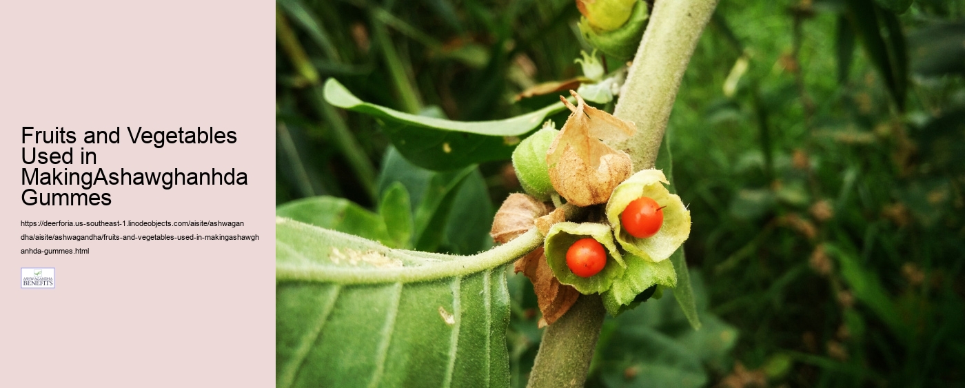 Fruits and Vegetables Used in MakingAshawghanhda Gummes