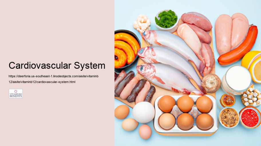 Cardiovascular System