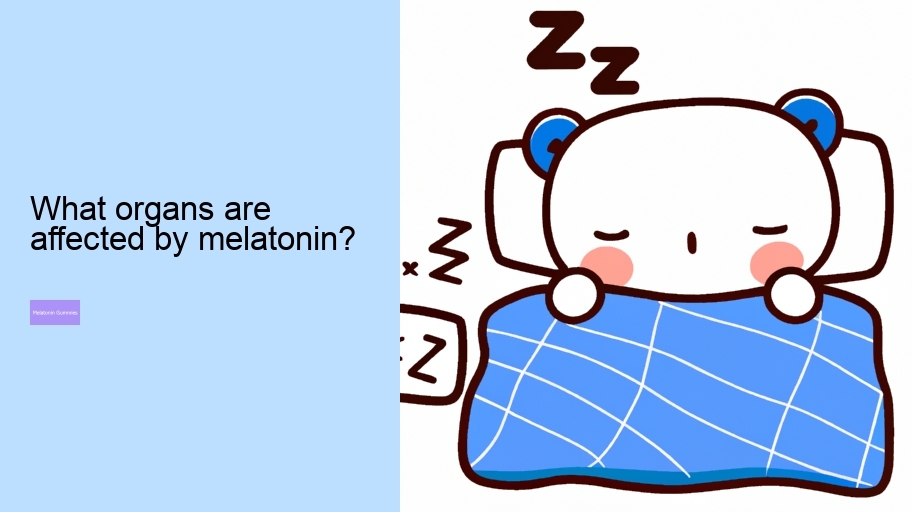 What organs are affected by melatonin?